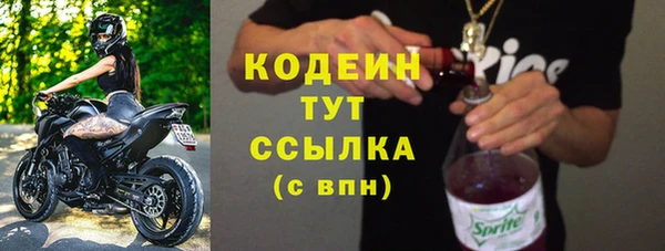 хмурый Арсеньев