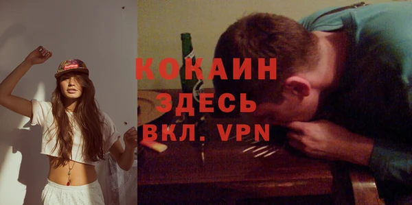 хмурый Арсеньев