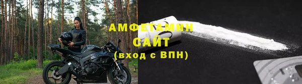 хмурый Арсеньев