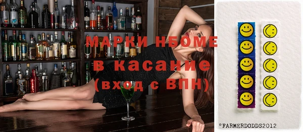 хмурый Арсеньев