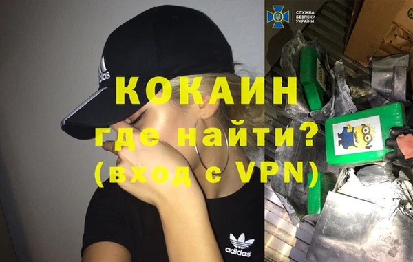 хмурый Арсеньев