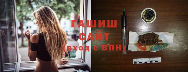 хмурый Арсеньев