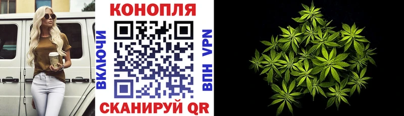 Бошки марихуана MAZAR  MEGA зеркало  Ревда  купить  сайты 